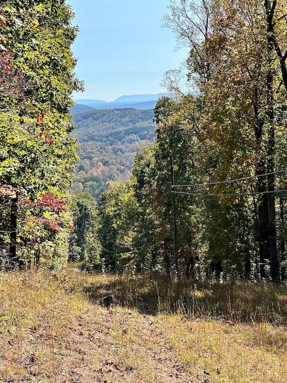 Mark webb powerline pic