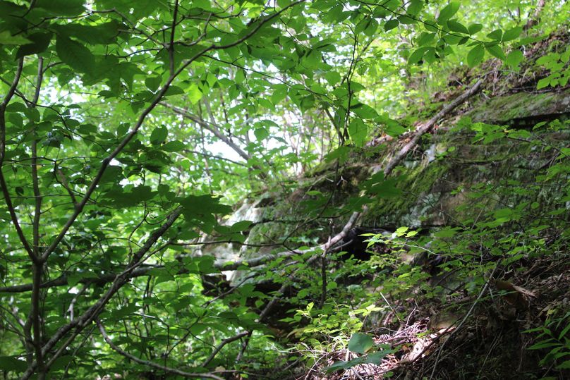 008 some of the rock cliff outcroppings peaking through