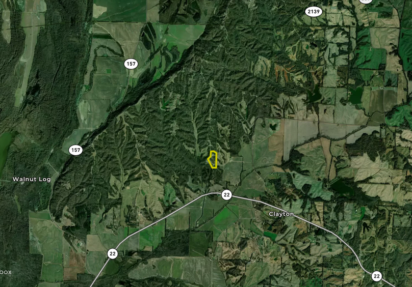 Screenshot 2026-03-02 at 12.19.58 PM