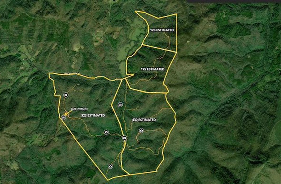 Screenshot 2025-08-19 at 1.16.26 PM