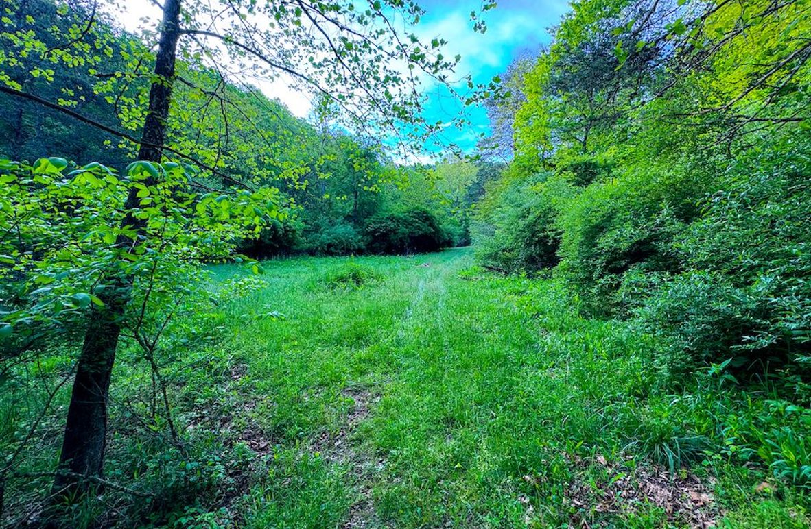 Wirt, WV 145.69 AC 273 Wildflower-02