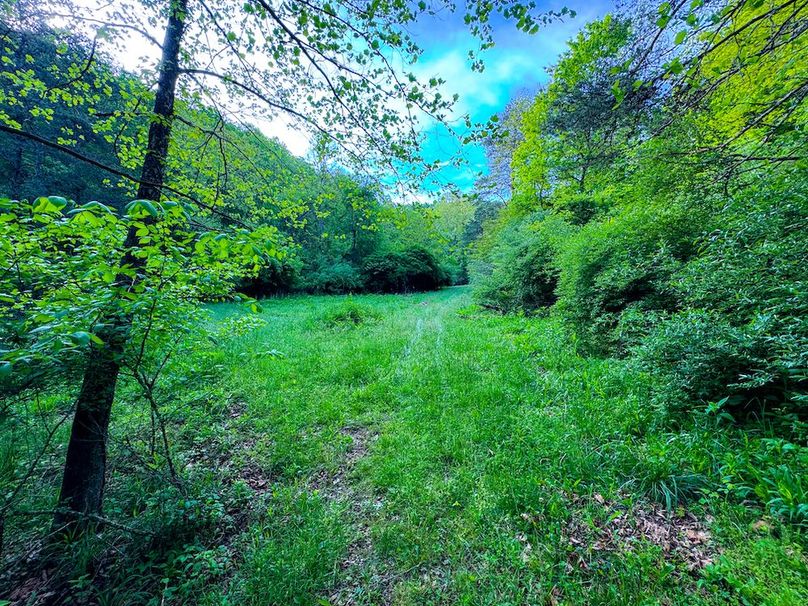 Wirt, WV 145.69 AC 273 Wildflower-02