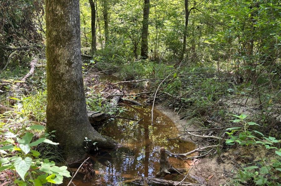 Versatile 56-Acre Tract with Dual Road Frontage & Creek Bottom