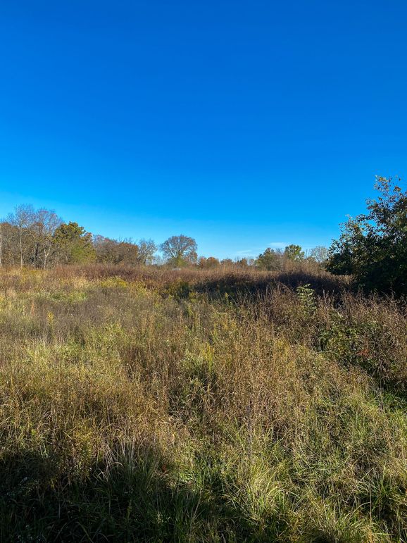 Lewis Johnson 78 010