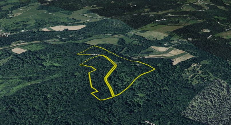 Screenshot 2025-11-24 104458