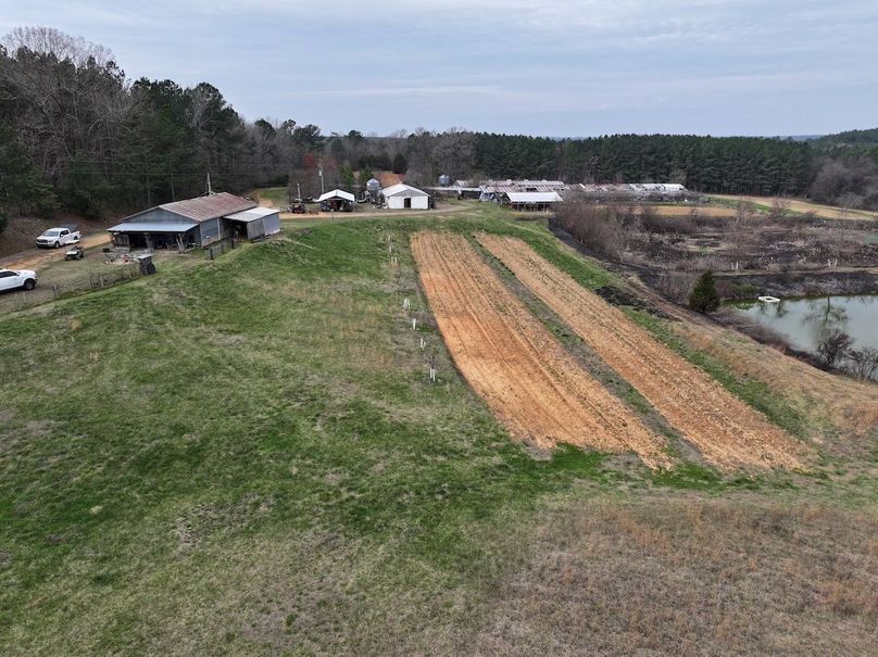 DJI_20240316122255_0029_D