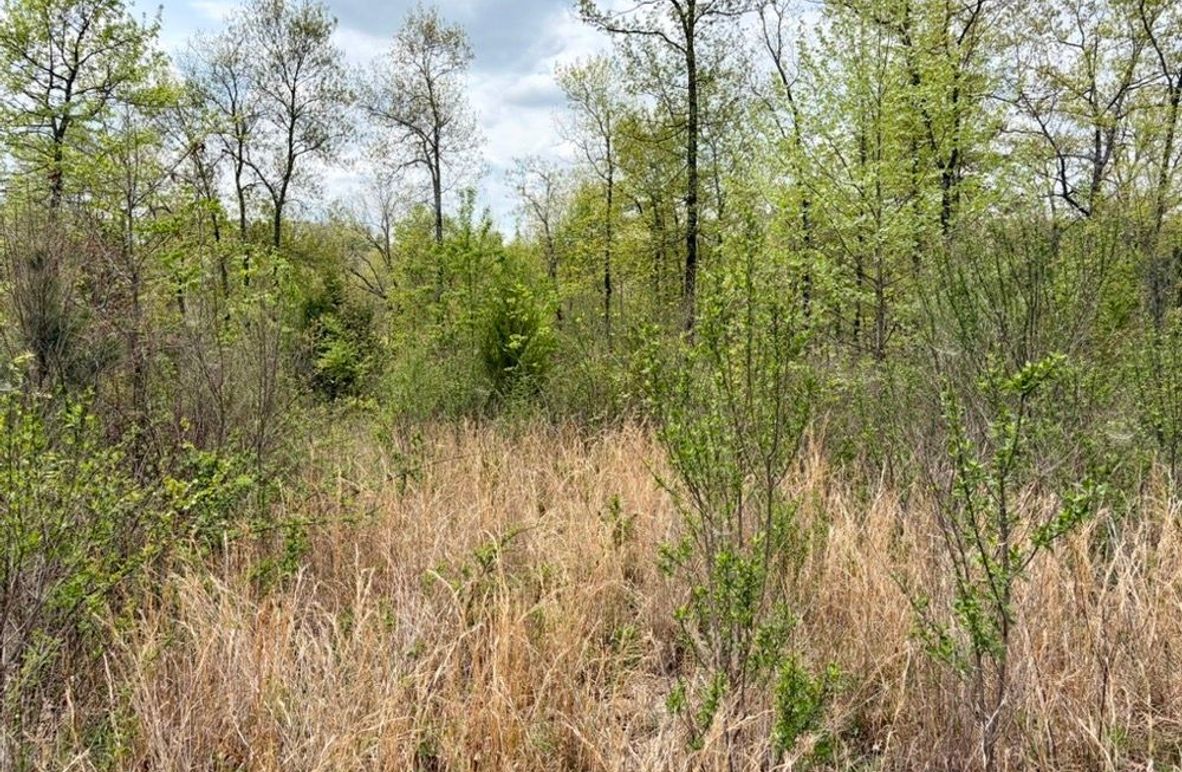 2B40ECA7-15D6-40EA-8B52-5E3D03F9D081_1_105_c-2