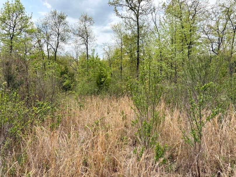 2B40ECA7-15D6-40EA-8B52-5E3D03F9D081_1_105_c-2