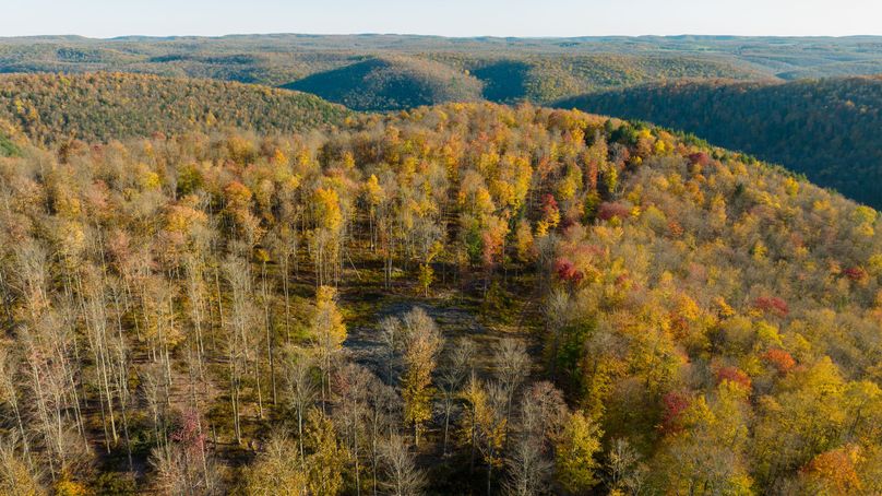 Elk PA 7000 Feature_Pro Photo-144