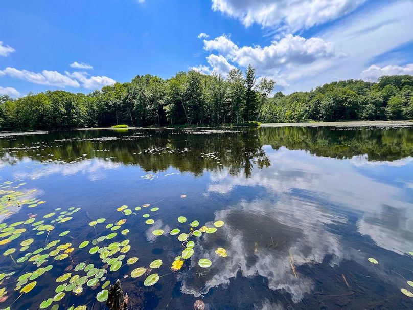 Oswego_20_Eck Photo 20