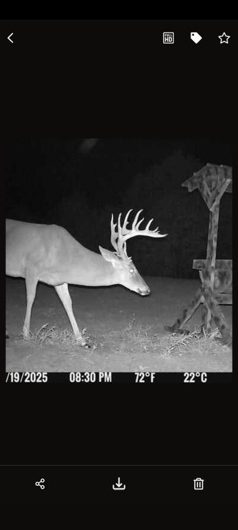 trail cam 7
