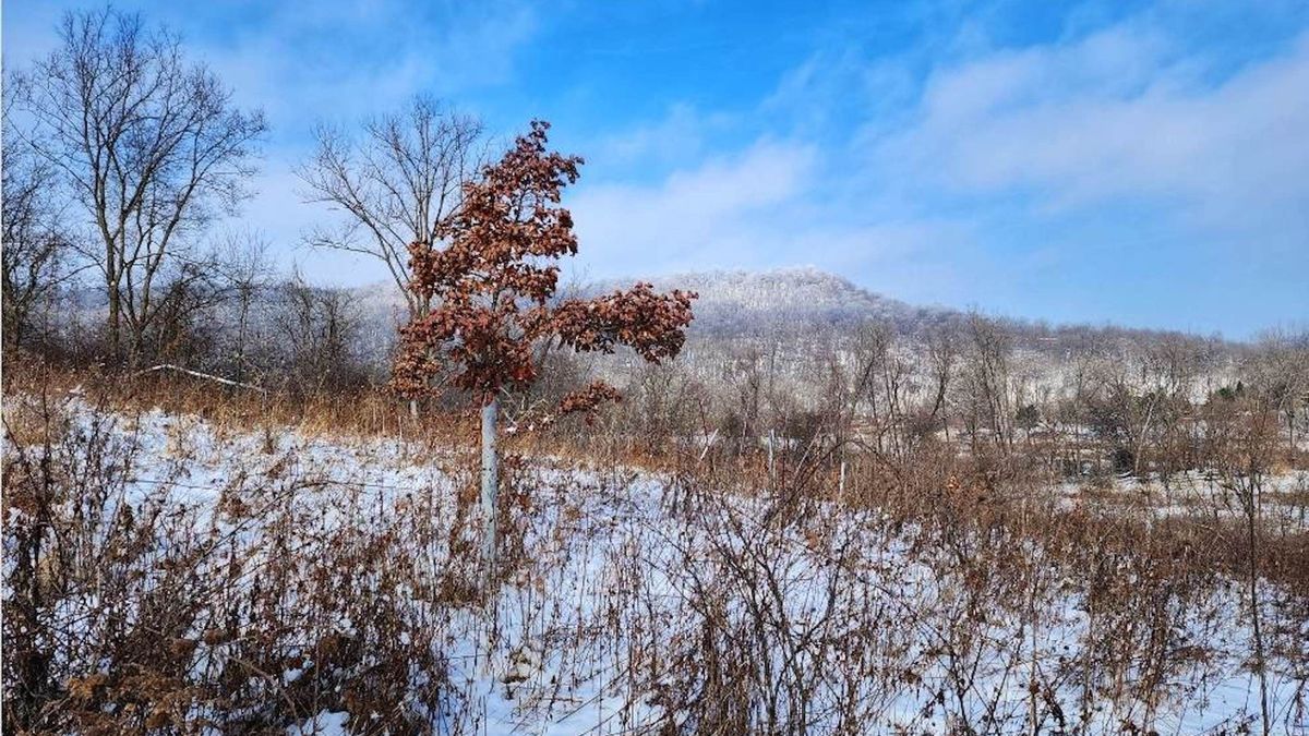 Primo Recreational Property With And Views In The Driftless Area
