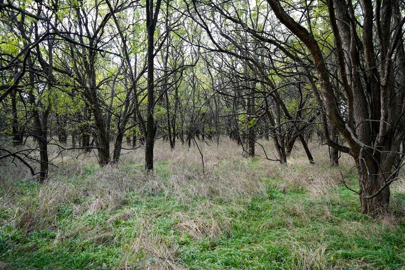 Dickinson Co, 154.5_059