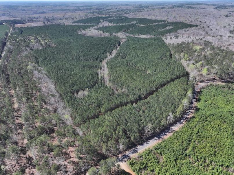 010AE - 257 Acres - Drone