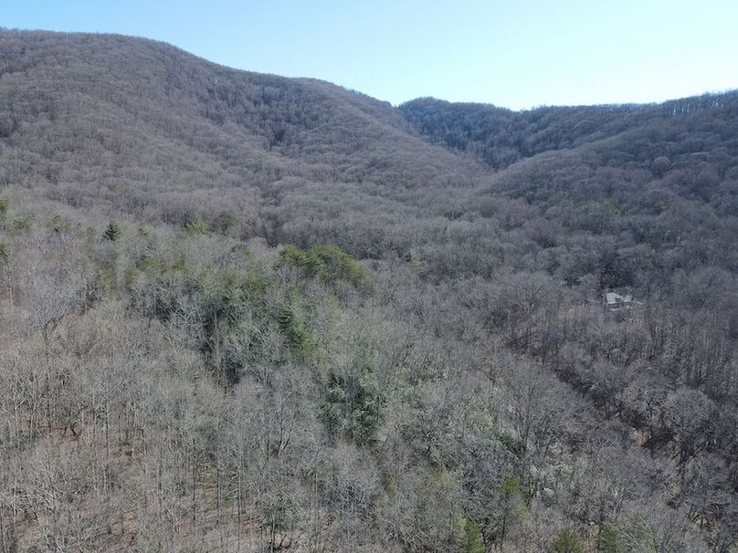 Cherokee 118.85 Harris Top-41