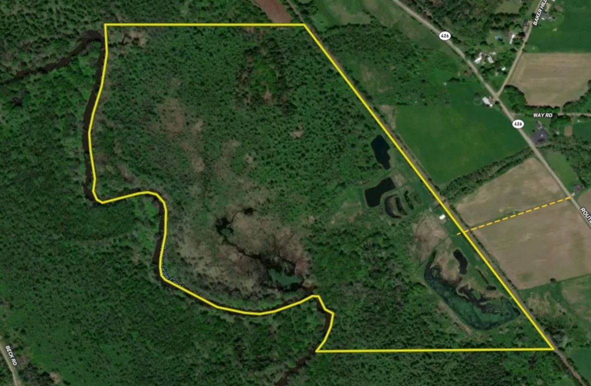 Screen Shot 2026-04-09 at 11.49.11 AM