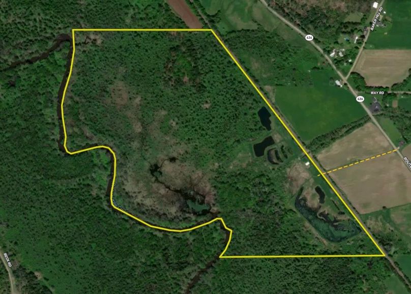 Screen Shot 2026-04-09 at 11.49.11 AM