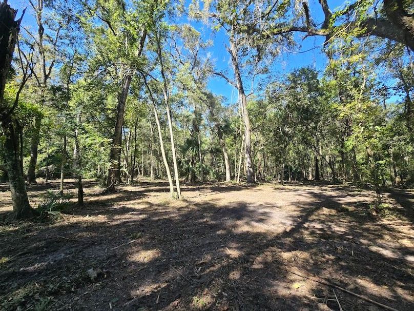 7.8ac, Citrus, Andrew Goering10