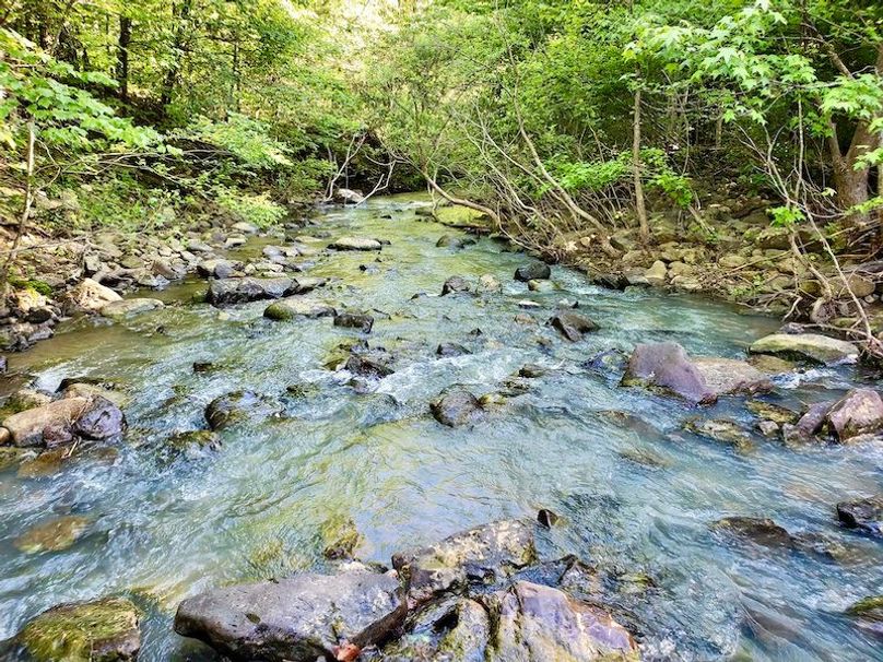 creek3