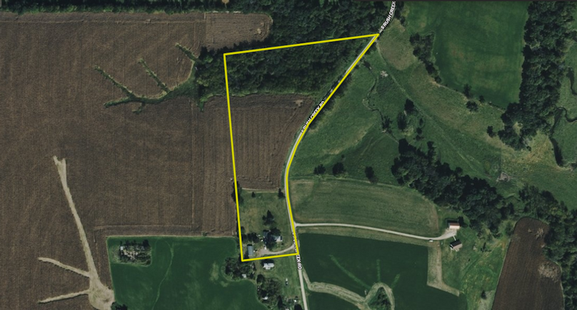 Screenshot 2026-02-10 at 4.24.47 PM