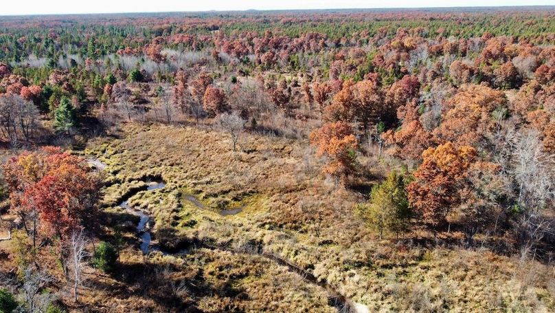 dji_fly_20241024_130452_496_1730406259050_photo_optimized