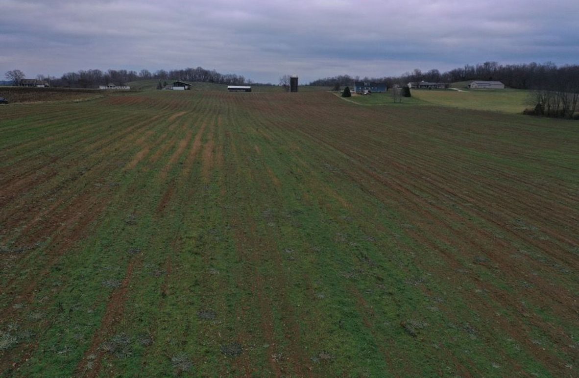 005 ground level view from the west boundary