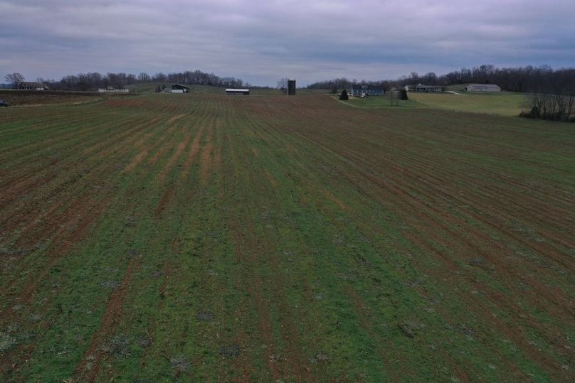 005 ground level view from the west boundary