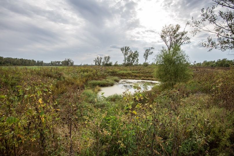  BLACKDOGBEND SOUTH_40