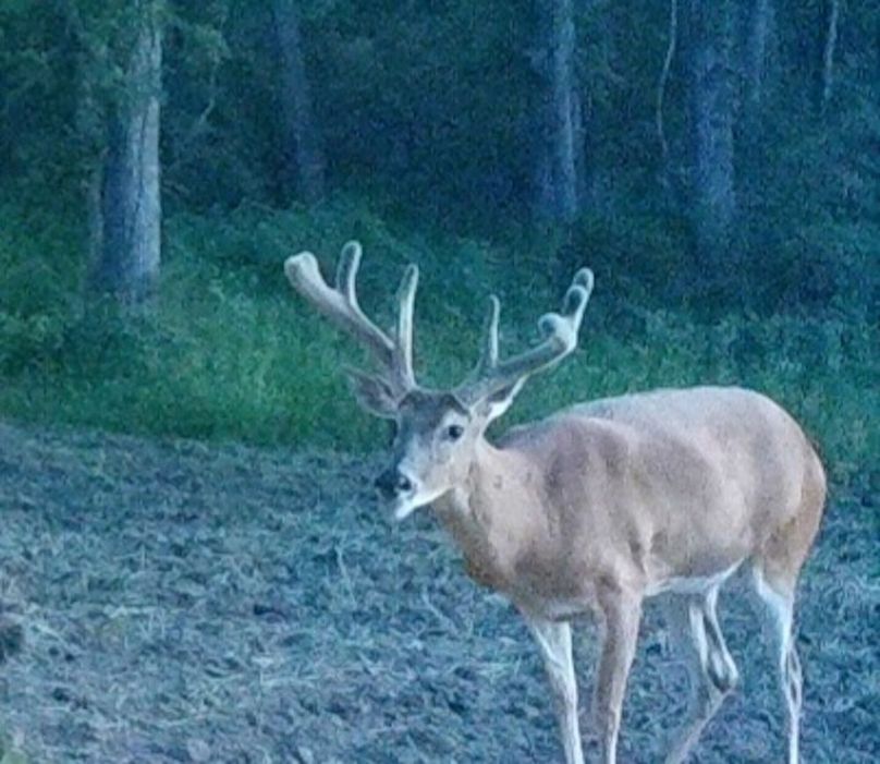 Screenshot_20220709-132753_Outlook