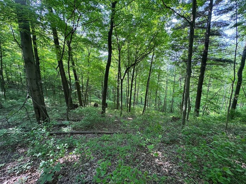 Pleasants, WV 168.59 AC Superior, Swank, Young-062