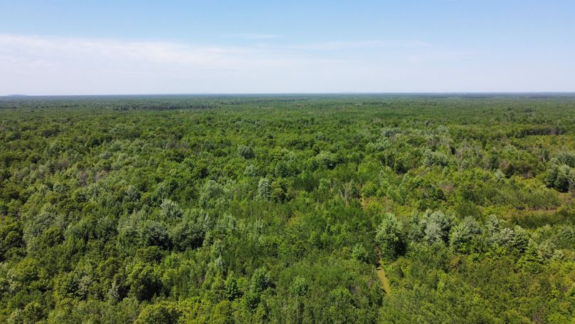 dji_fly_20230530_141720_532_1685474467561_photo_optimized 2