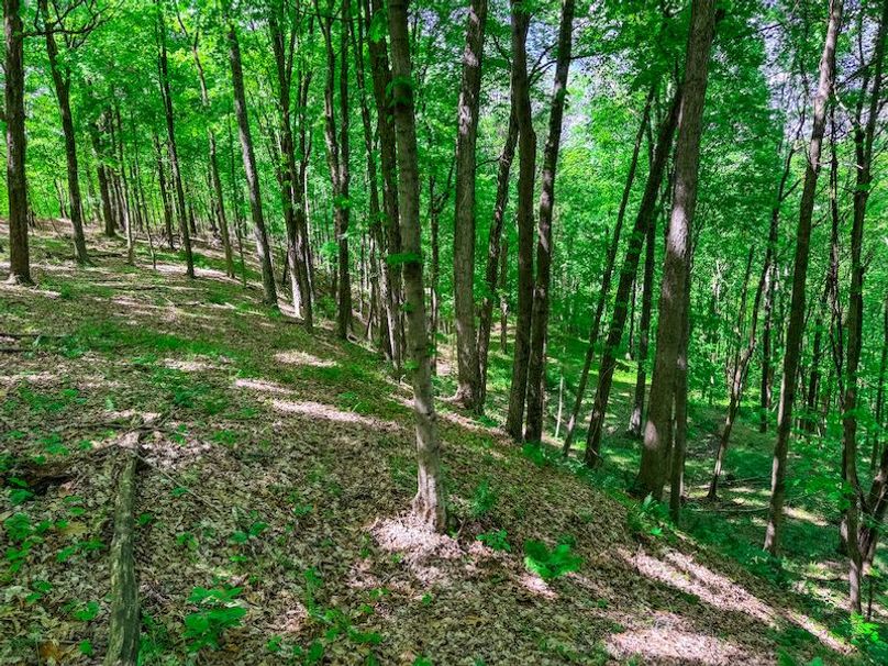 Tyler, WV 161.03 AC Fitzsimmons-089