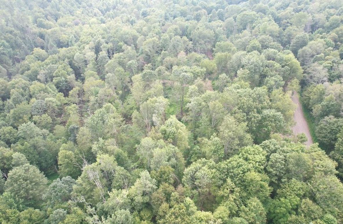 dji_fly_20250806_151838_606_1754528923915_photo