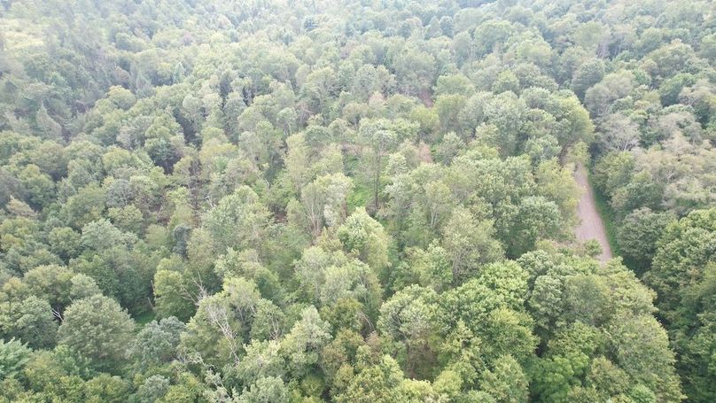 dji_fly_20250806_151838_606_1754528923915_photo