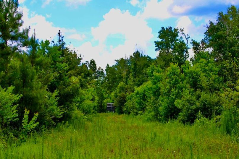 0048CCEE-4935-41CD-B6FD-86A1F418FDAC_1_201_a