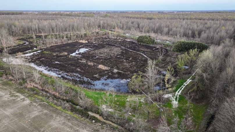 Panola 164.7 SPI Land Ventures-47