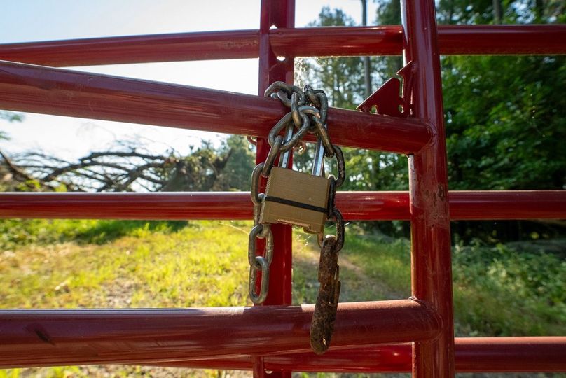 Copy of DSC06279 Large