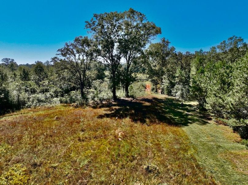 606E1532-8B78-4814-9C8B-E47C9803FD18_1_201_a