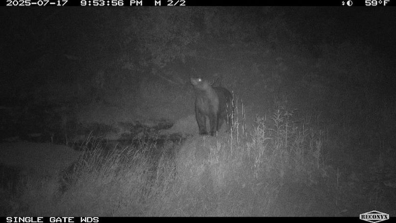 A2459760-2171-48E7-9D2C-168560589DC4