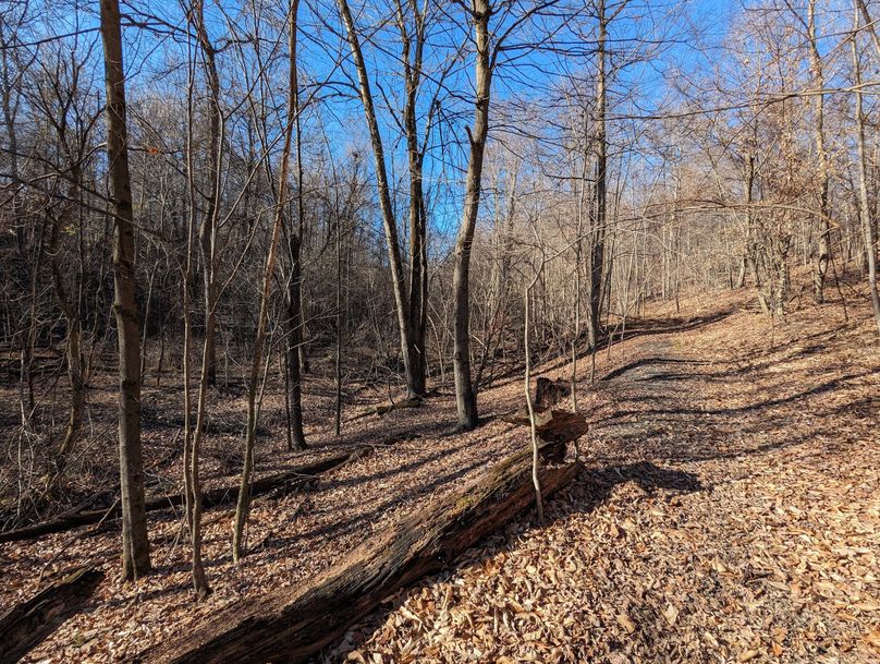 PXL_20231215_172045525