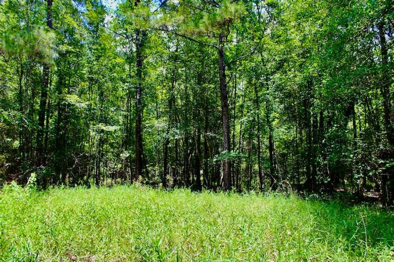 9F8E61DB-0313-44D6-998F-ED665B2DECC9_1_201_a