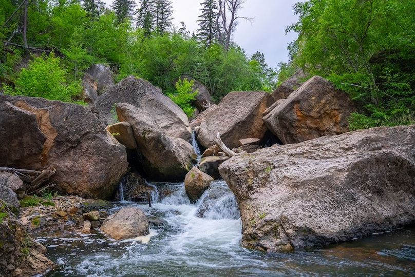 Lawrence SD 50 Featured_ProPhoto-13