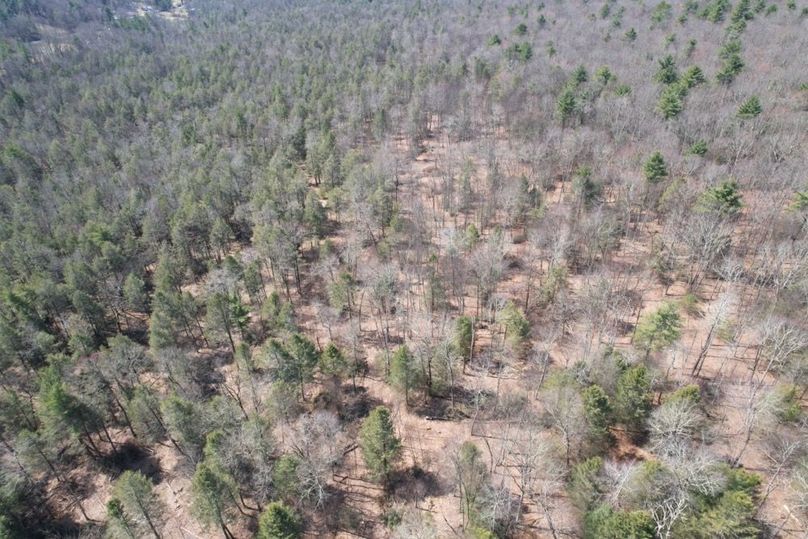 dji_fly_20260330_125028_565_1775656583861_photo