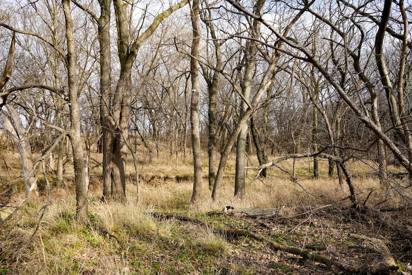 Copy of Wash, Ks, T1, 151.7_005