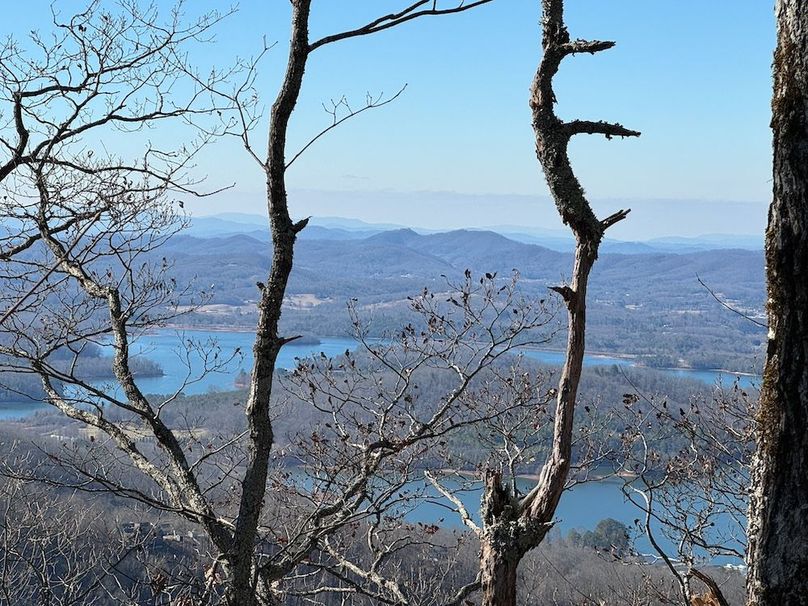 06_Clay 124.76 Fleaback-01