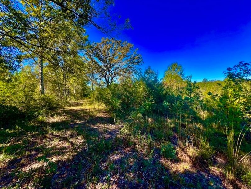 5C19554D-0D3E-4F84-888D-611583D117BE_1_105_c