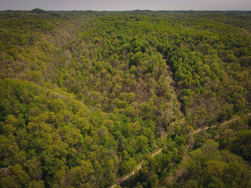 dji_fly_20230510_120112_656_1683734483759_photo