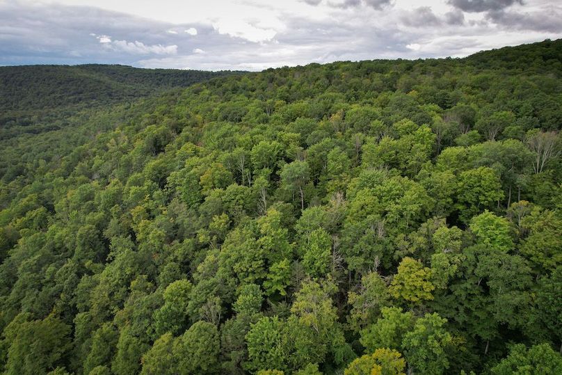 Chemung_60.55_Baumunk_Photos_32