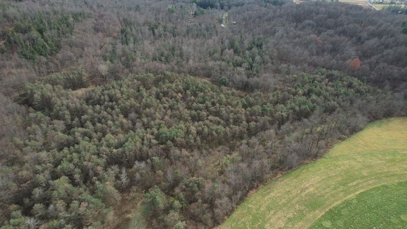 dji_fly_20251124_134934_32_1764010350054_photo