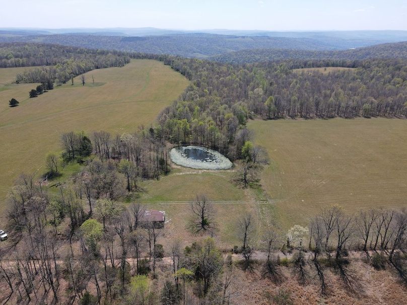 dji_fly_20260408_132022_438_1775672431625_photo